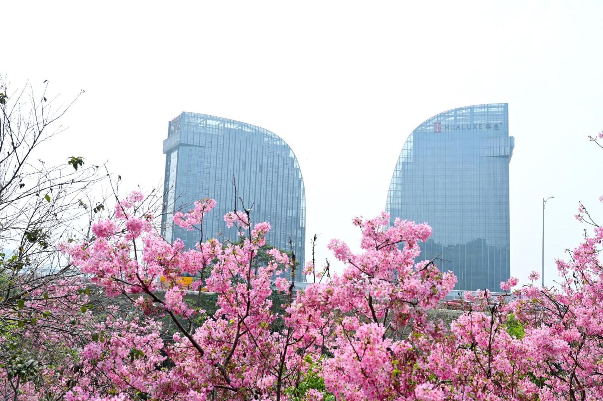 Hualuxe Xiamen Haicang Habour View Екстер'єр фото